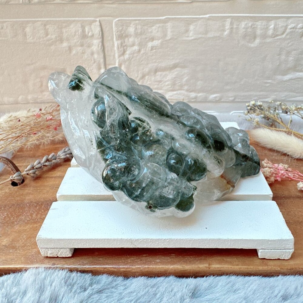 Gorgeous Lodalite Money Toad | Money Frog